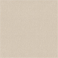 10811 Image