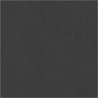 17302 Image
