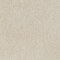 95911 Image