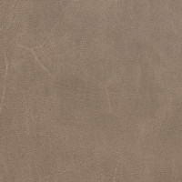 65982 Image