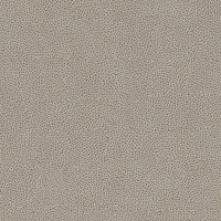 40701 Image