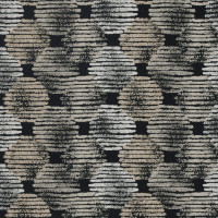 19800 Image