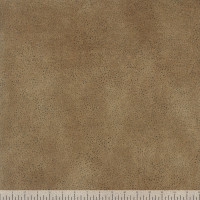 09970 Image