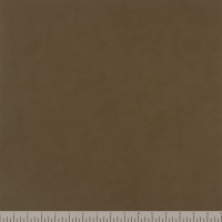 12872 Image