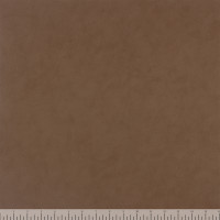 12865 Image