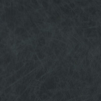 81540 Image