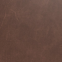 66570 Image