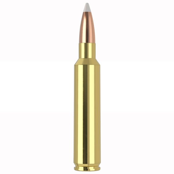 Nosler Trophy Ammunition 30 180gr AccuBond 20 Round Box 60117