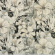 37800 Image