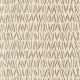 73080 Image