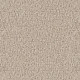 12372 Image