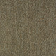 18272 Image