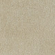 95980 Image