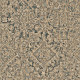 52042 Image