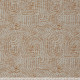08050 Image