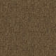 14570 Image