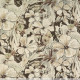 37870 Image
