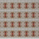 40950 Image