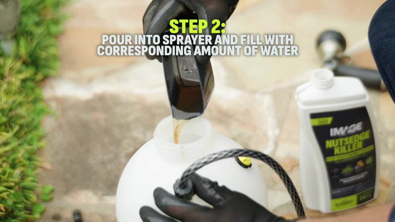 thumbnail video image 2 of Image Nutsedge Weed Killer Herbicide, 24 fl. oz. Concentrate, 2 of 19