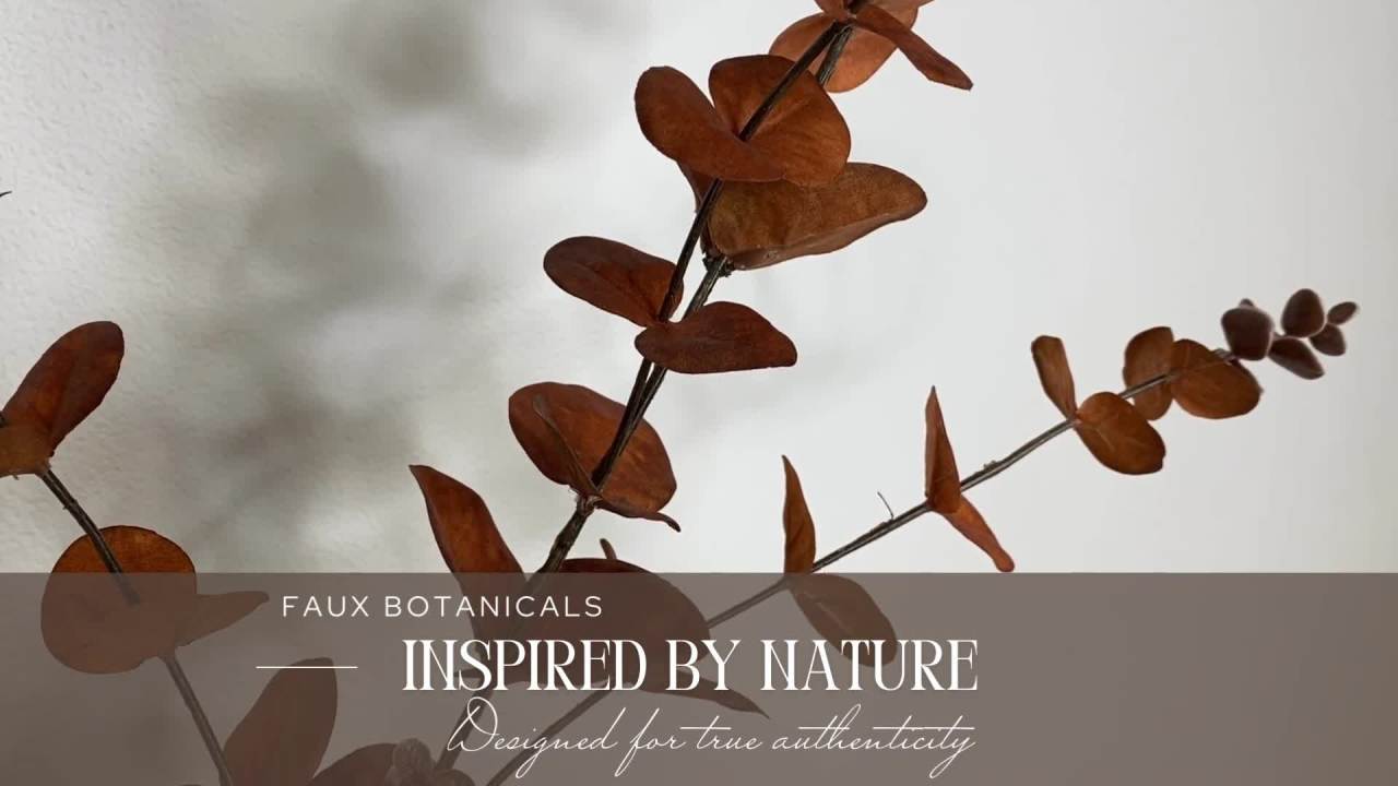 thumbnail video image 2 of Sullivans Artificial Eucalyptus Spray 33"H Brown, 2 of 5