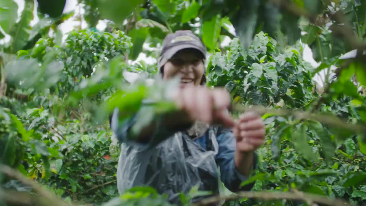 thumbnail video image 2 of Nestle Kosher Dairy Rich & Creamy Dark Chocolate Drink Mix, 1.75 lb, Bag, 2 of 11