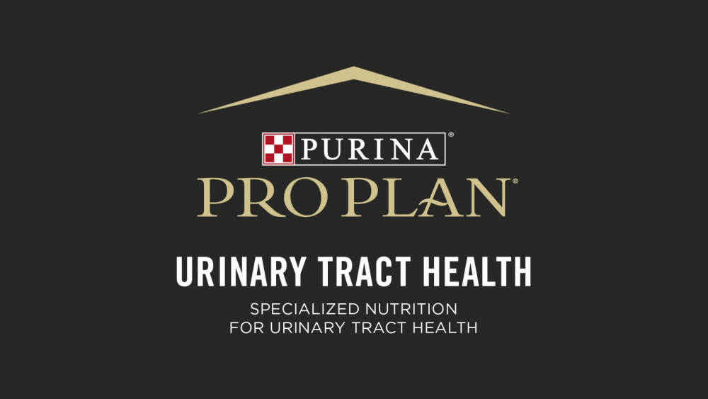 Purina Pro Plan Urinary Tract Health Wet Cat Food Variety Pack, 3 oz