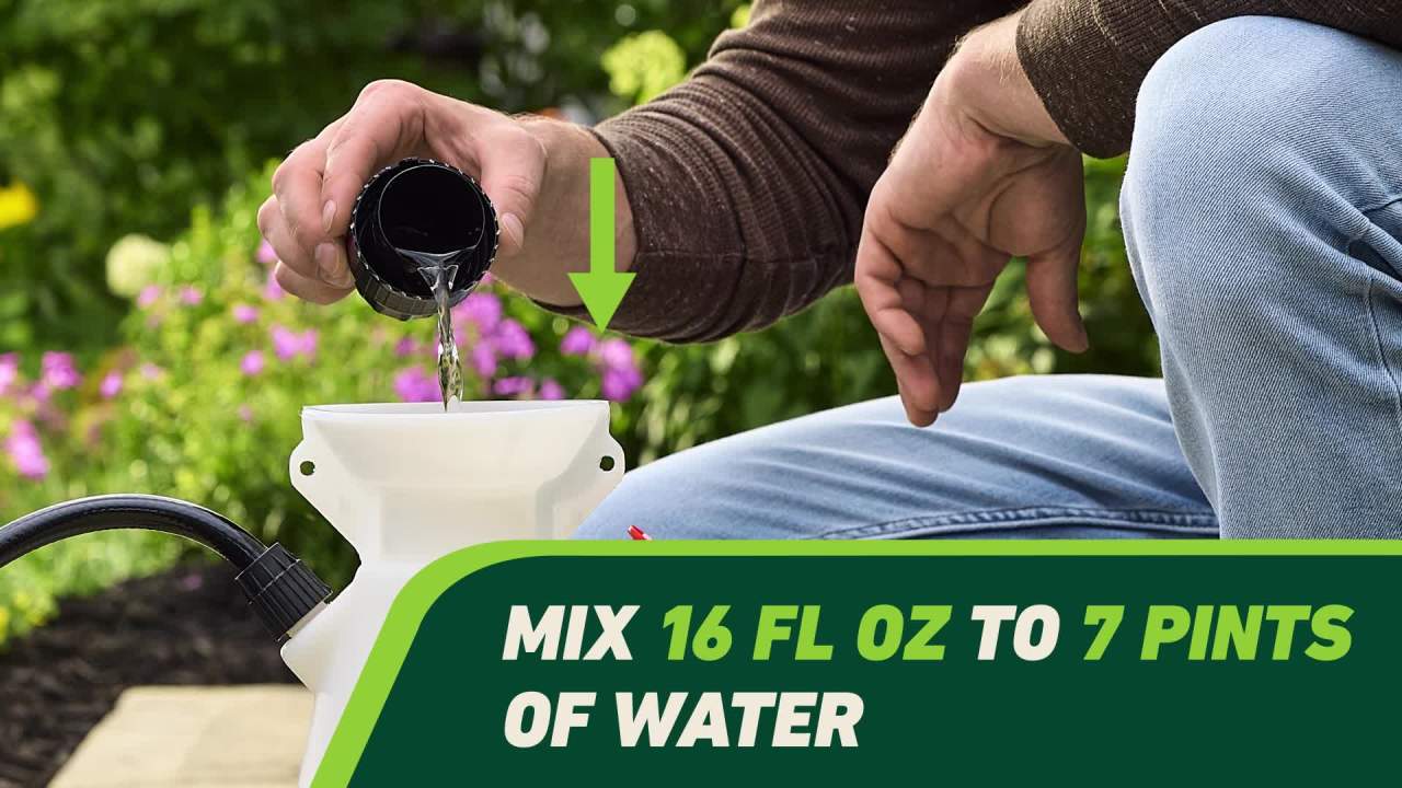 thumbnail video image 2 of Ortho GroundClear Weed and Grass Killer2 Concentrate, Kills Moss and More, 32 fl. oz., 2 of 15