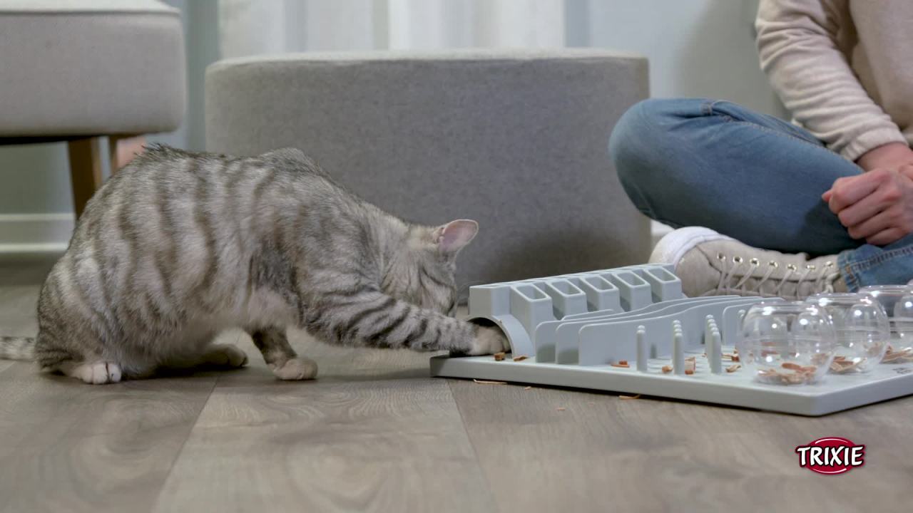 thumbnail video image 2 of TRIXIE Fun Board Strategy Game for Cats, Puzzle Toy, Treat Dispenser, Interactive Play, White, 2 of 11