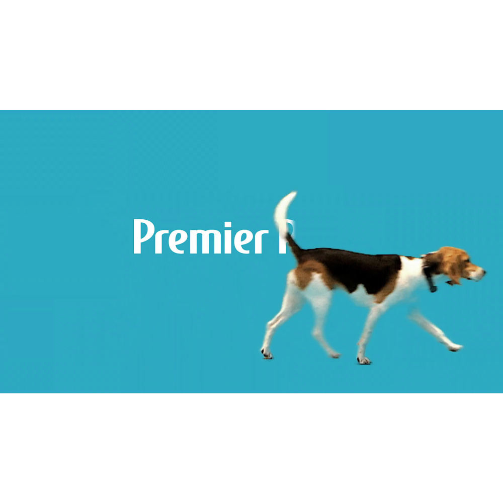 Premier Pet In-Ground Add-A-Dog: Adds Unlimited Dogs to Premier Pet In-Ground Fence, Additional or Replacement Collar, Adjustable, Waterproof, Tone & Static Correction, Low Battery Indicator - image 2 of 10