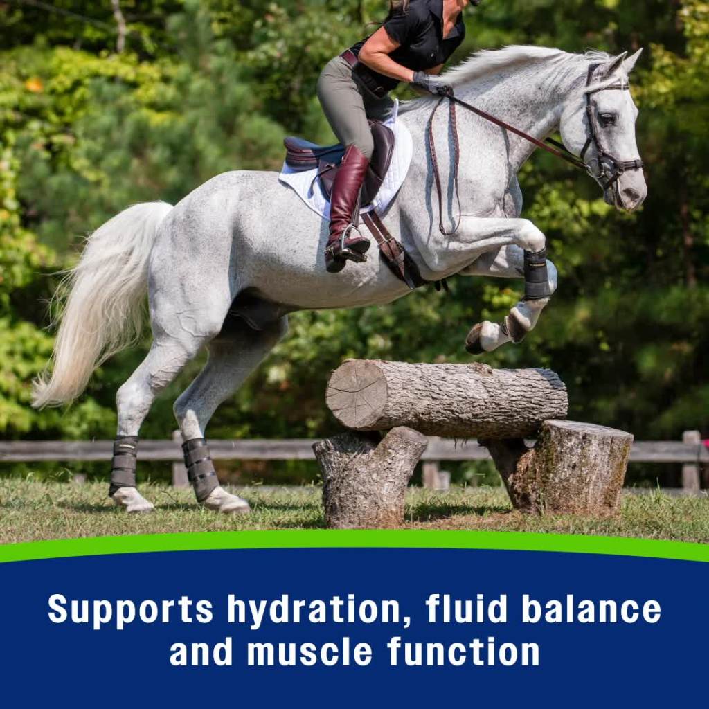 thumbnail video image 3 of Farnam Apple Elite Electrolyte Paste for Horses 60 cc, 3 of 15