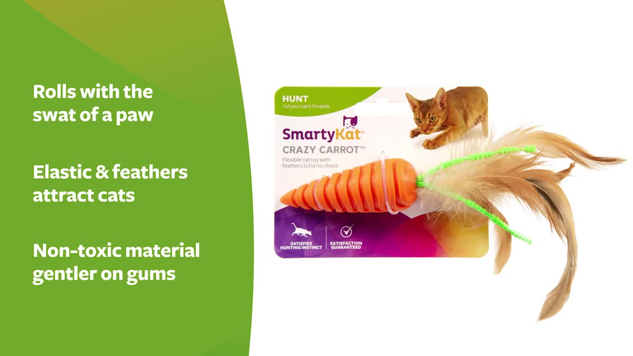thumbnail video image 2 of SmartyKat Crazy Carrot Flexible Bat & Chase Cat Toy  For Cats & Kittens, 2 of 8
