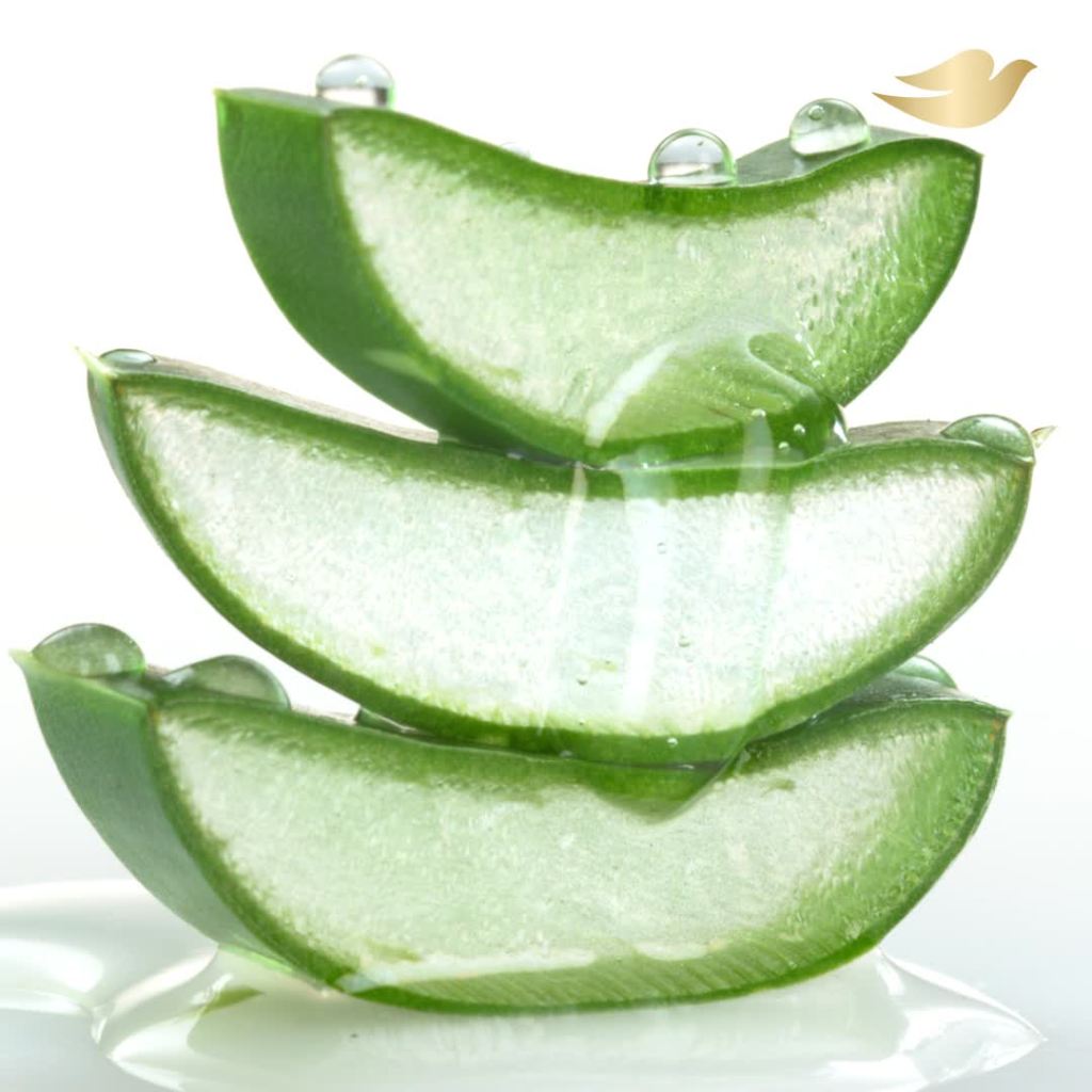 thumbnail video image 2 of Dove Body Love Sun Rehydrate Women's Body Cleanser, Exotic Fruit & Nourishing Vanilla, 17.5 fl oz, 2 of 11