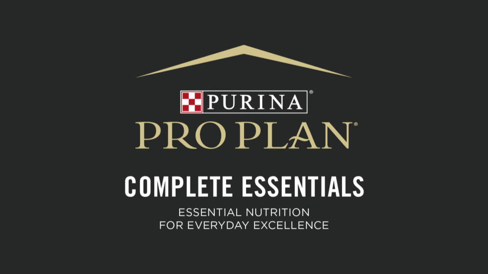 (12 Pack) Purina Pro Plan Grain Free, High Protein Wet Dog Food, COMPLETE ESSENTIALS Classic Chicken & Duck Entree, 13 oz. Cans - image 2 of 10
