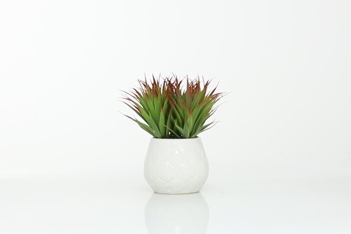 thumbnail video image 2 of DecMode 9" Artificial Striped Stemmed Aloe Plant in Realistic Leaves and Ceramic Pot, 2 of 8