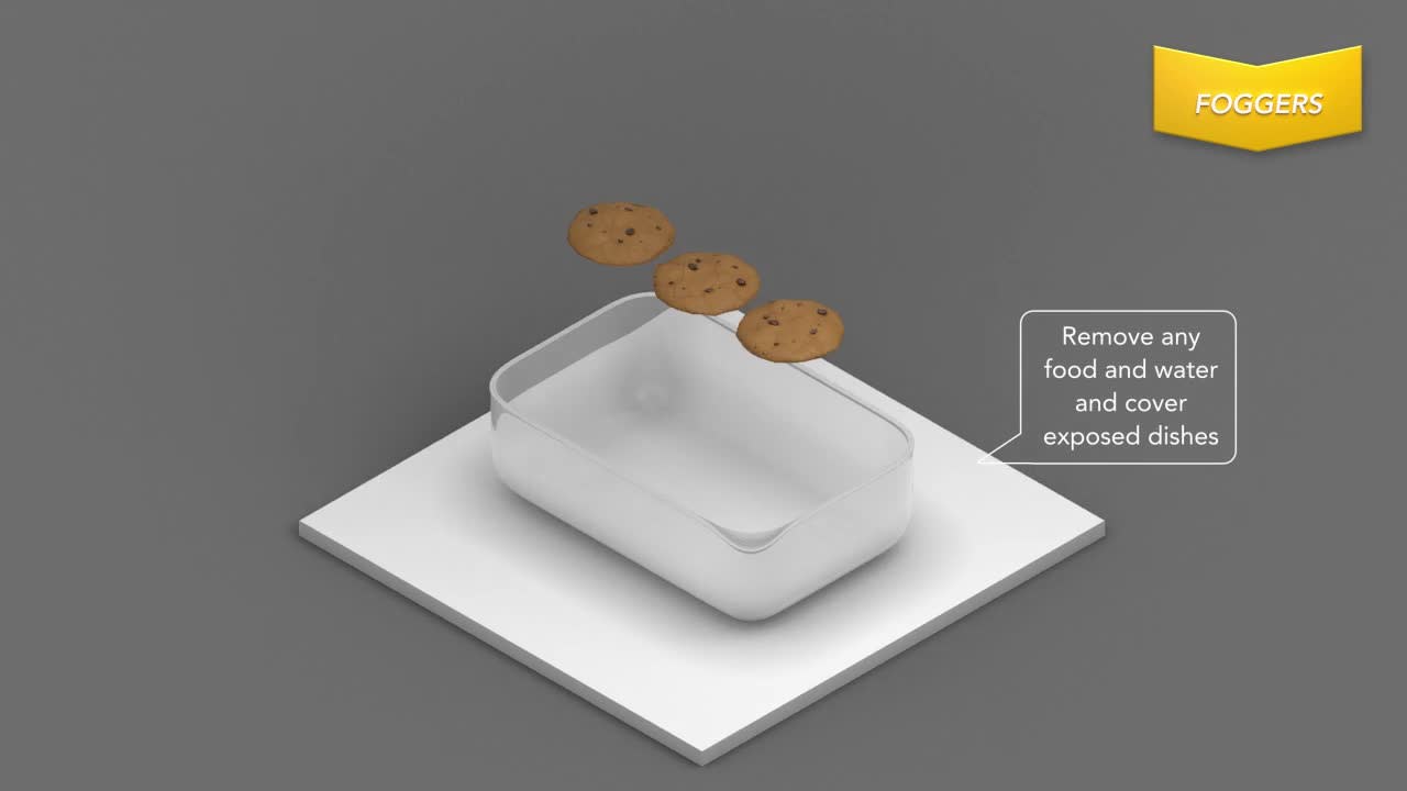 thumbnail video image 2 of Raid Flying Insect Killer 7, Insecticide Spray for Wasps, Mosquitos, and More, 15 oz, 2 of 15