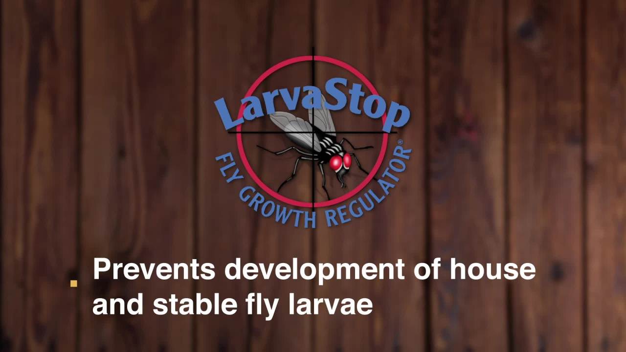 thumbnail video image 2 of (3 pack) Farnam SimpliFly Feed-Thru Fly Control for Horses, Pellets, 60 Day Supply, 2 of 14
