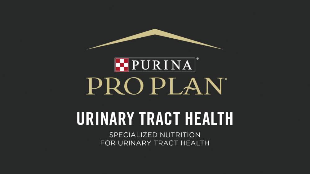 Purina Pro Plan Urinary Tract Cat Food, Wet Cat Food Variety Pack