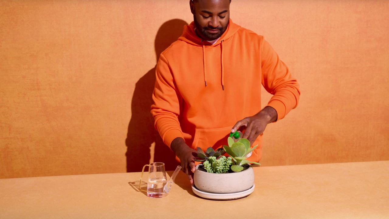 thumbnail video image 2 of Miracle-Gro Indoor Potting Mix for Cactus and Succulent, Fast-Draining Formula, 8 qt., 2 of 12