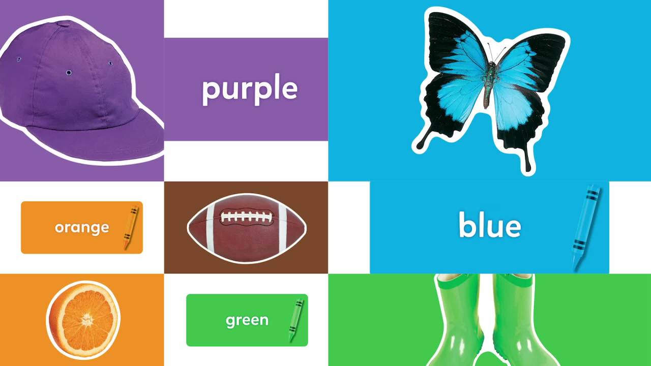 thumbnail video image 2 of TREND Colors All Around Us Learning Set, 2 of 7