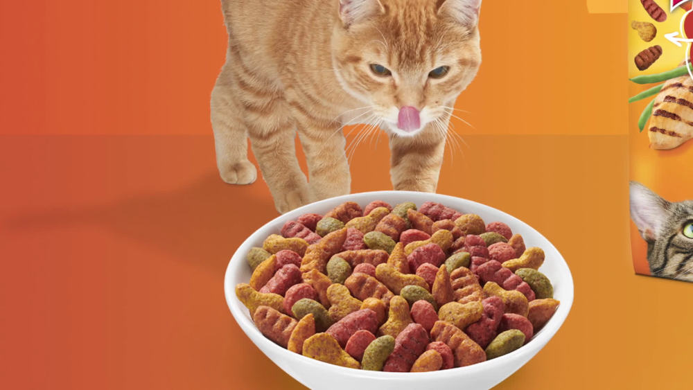 Purina Friskies Tender & Crunchy Combo Adult Dry Cat Food 3.15 lb