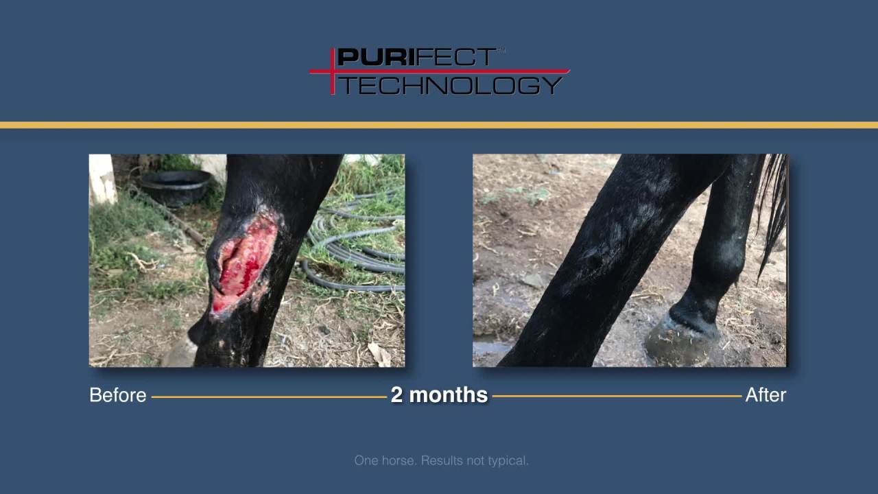 thumbnail video image 2 of Farnam Purishield Wound & Skin Spray, Horses, Dogs, Cats & Livestock 16 Fluid Ounces, 2 of 6