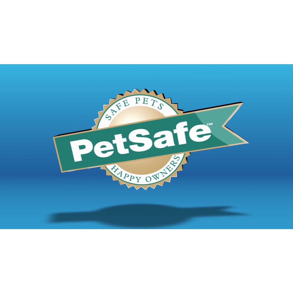 PetSafe KeepSafe BreakAway Collar, 1 in Wide, Medium, Royal