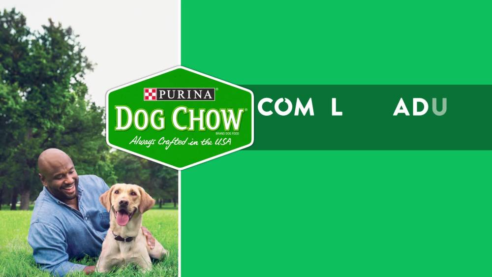 Purina Dog Chow High Protein Real Lamb Flavor Dry Dog Food, 44 lb Bag