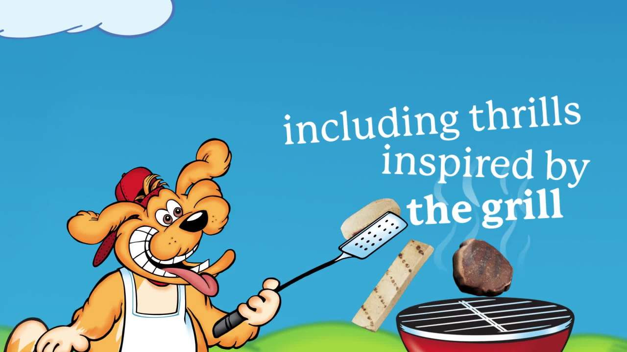 Canine Carry Outs Steak Bites Beef Flavor Dog Treats, 4.5oz