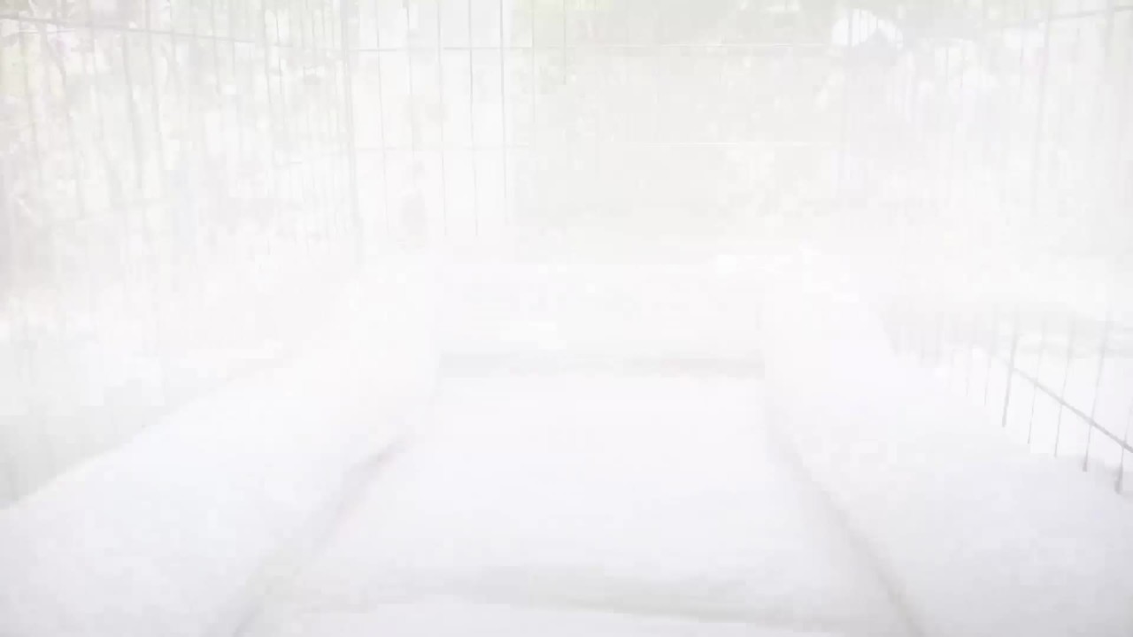 thumbnail video image 2 of K&H Pet Products Deluxe Bolster Crate Pad Fleece 20 X 25 Inches, 2 of 9