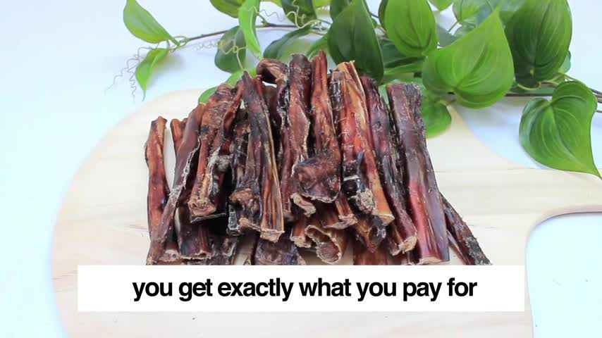 thumbnail video image 2 of Downtown Pet Supply Bully Sticks for Small Dogs Rawhide Free Dog Chews 1 lbs, 2 of 9