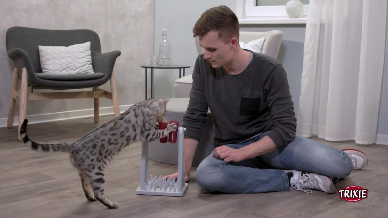 thumbnail video image 2 of TRIXIE Mad Scientist Turn Around Strategy Game Cat Puzzle Toy, Treat Dispenser, Interactive Play, 2 of 9