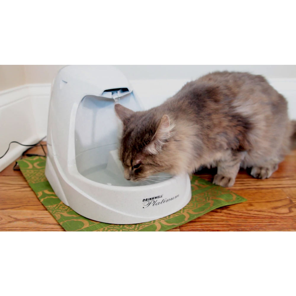PetSafe Drinkwell Platinum Pet Water Fountain for Cats and Dogs, 168 oz