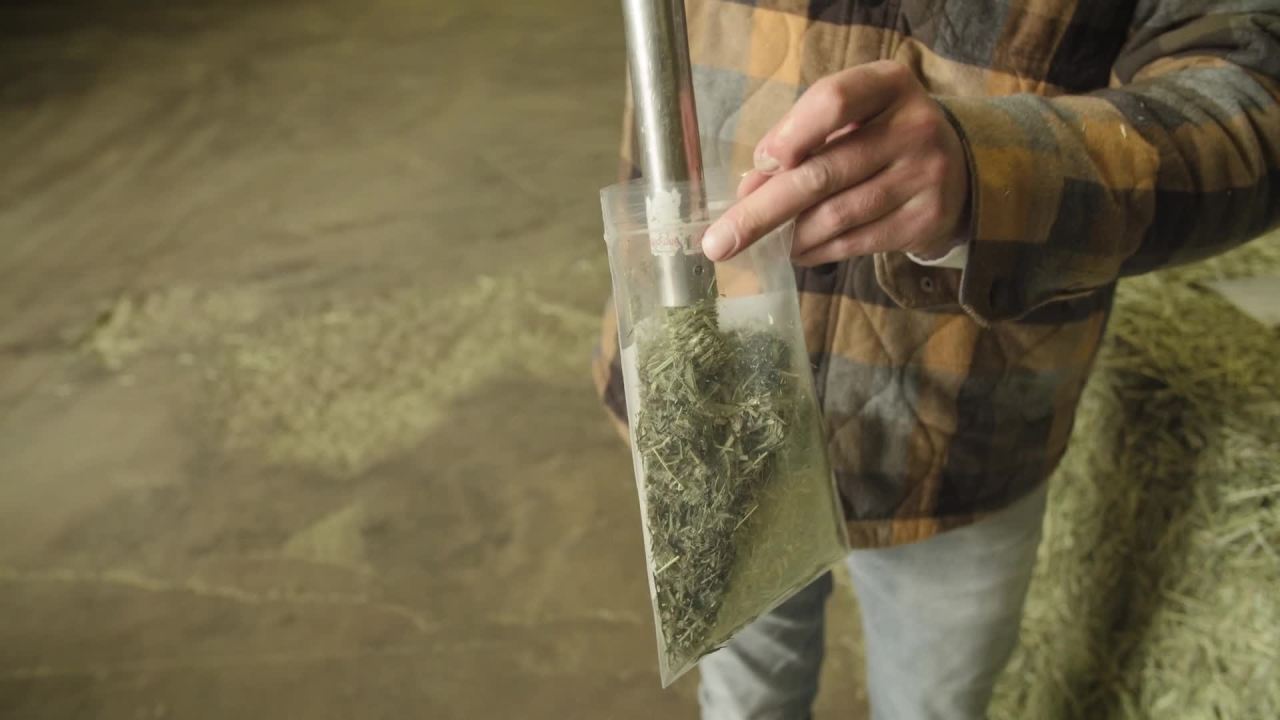 thumbnail video image 2 of Kaytee Timothy Hay, Small Animal Food for Hamster, Gerbil, Chinchilla, Rabbit, Guinea Pig and More, 96 Ounces, 2 of 12