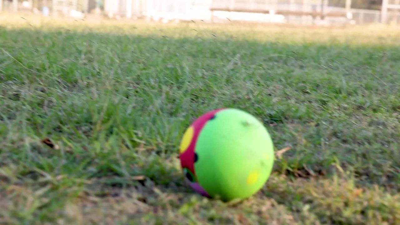 thumbnail video image 2 of Melissa & Doug Sunny Patch Bollie Ladybug Classic Rubber Kickball, 2 of 10